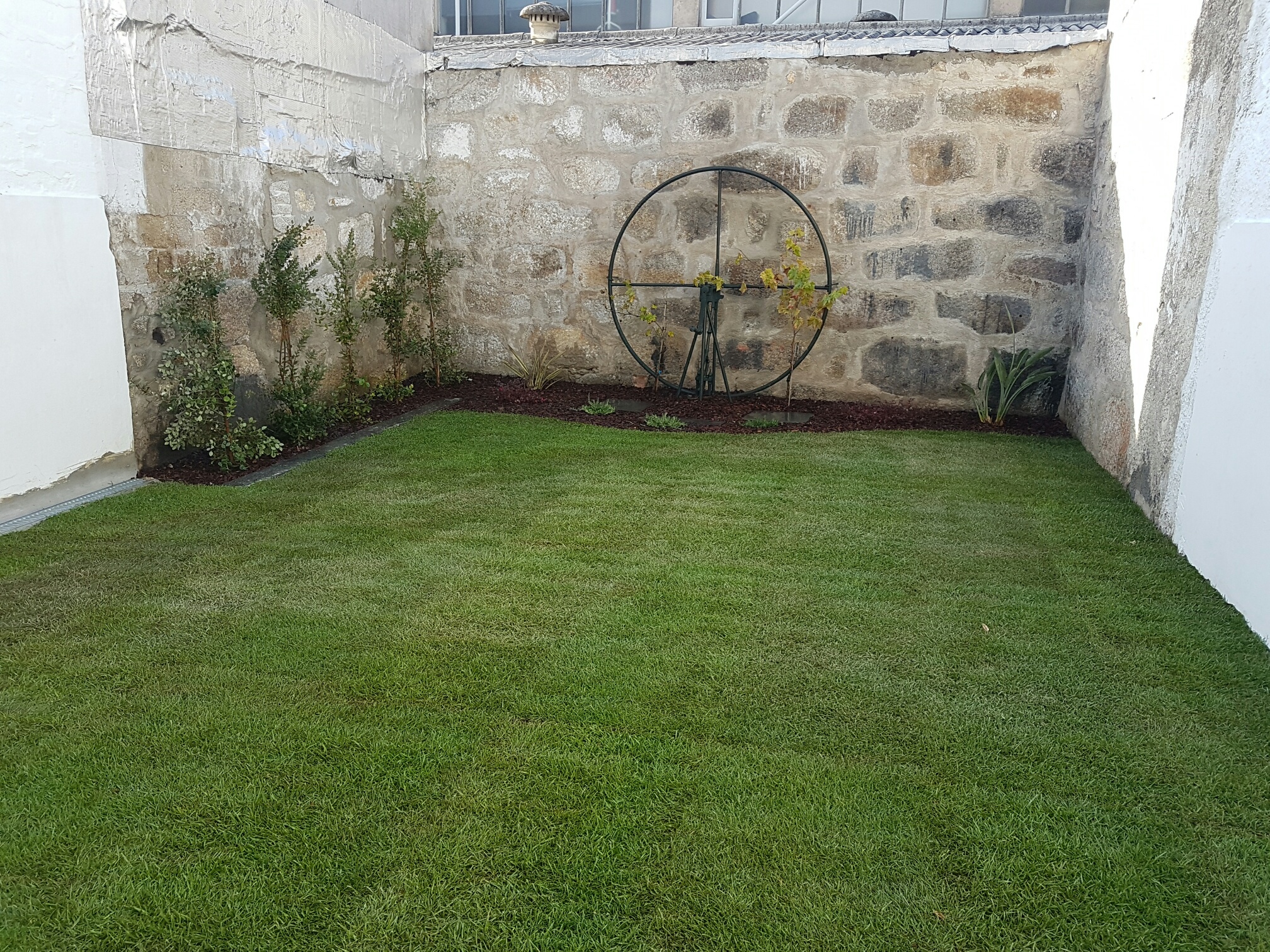 Jardin Jardin